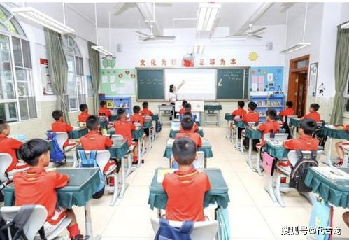 不止全精英 全免费 揭秘恒大足校人才选拔培养 独家秘笈