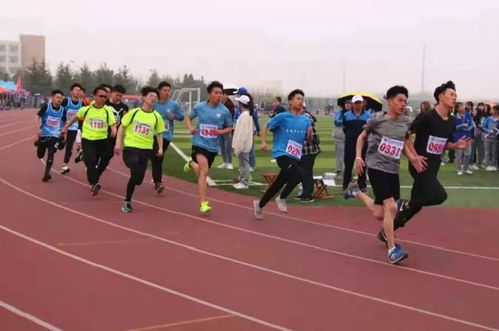 单招 综招 系列发布 山东药品食品职业学院