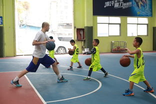 图 龙华清湖北三酷篮球小学生篮球培训周末班招生 深圳文体培训