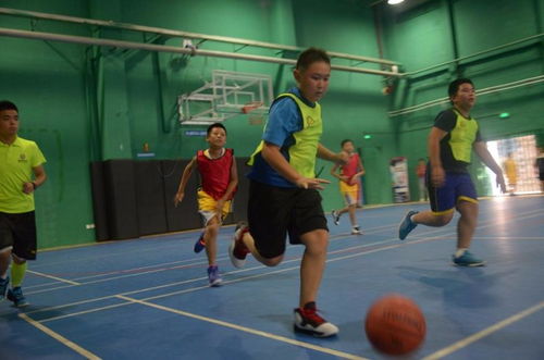 图 春季招生 学篮球,到捍能,免费试学啦 北京文体培训