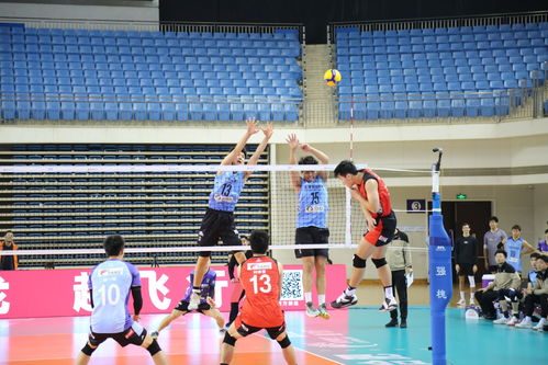 体育单招培 聚焦中国排协官网图集资源