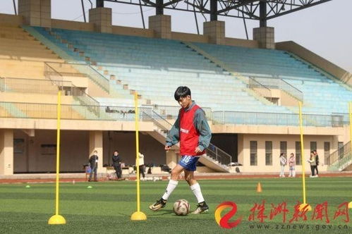 单招开考铃响，湖南铁科职院以“十八般武艺”助力五千学子逐梦体育单招