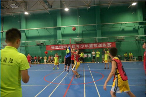 赢在寒假，拉开差距 北京文体培训篮球专项及体育单招980元限时秒杀