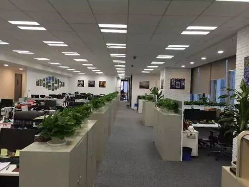 体育单招背景下的ASC精品酒业销售管理培训生培养模式探析