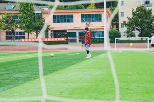 从安博出发，逐梦新征程 体育单招的成长之路