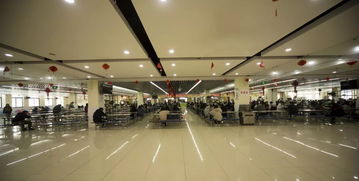 你的坚持，终成美好——镇江高专2019年对口单招招生简章体育单招专题解读