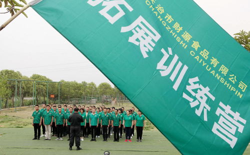 长治财源食品公司举办体育单招拓展培训，赋能团队，蓄力未来